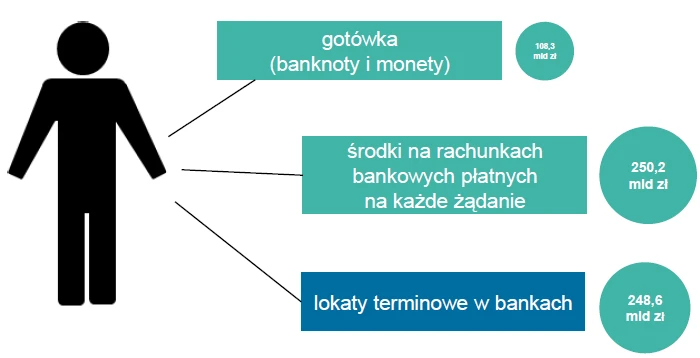 Ile pieniędzy w złotych i w jakiej formie mają Polacy
